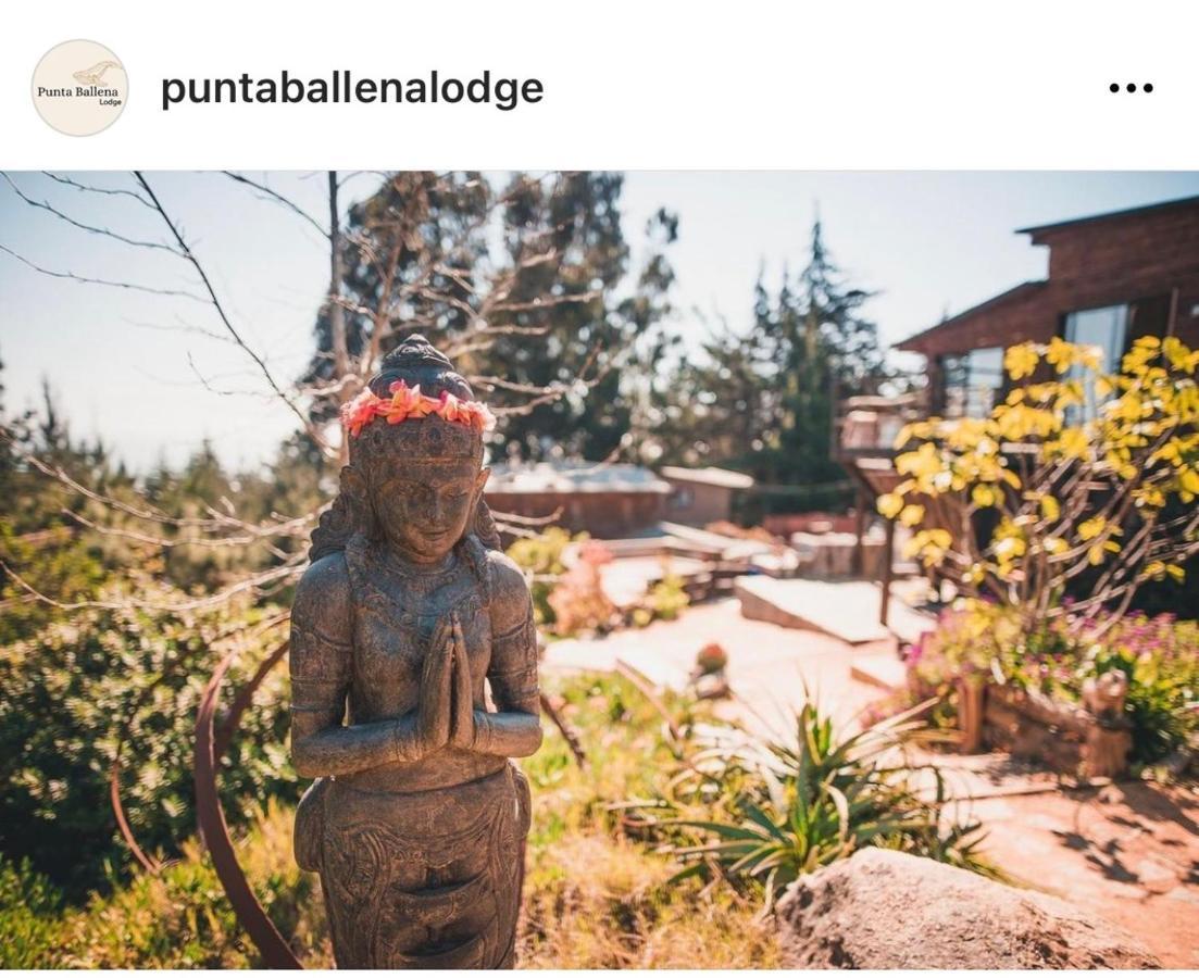 Punta Ballena Lodge Pichilemu Bagian luar foto