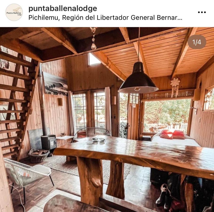 Punta Ballena Lodge Pichilemu Bagian luar foto