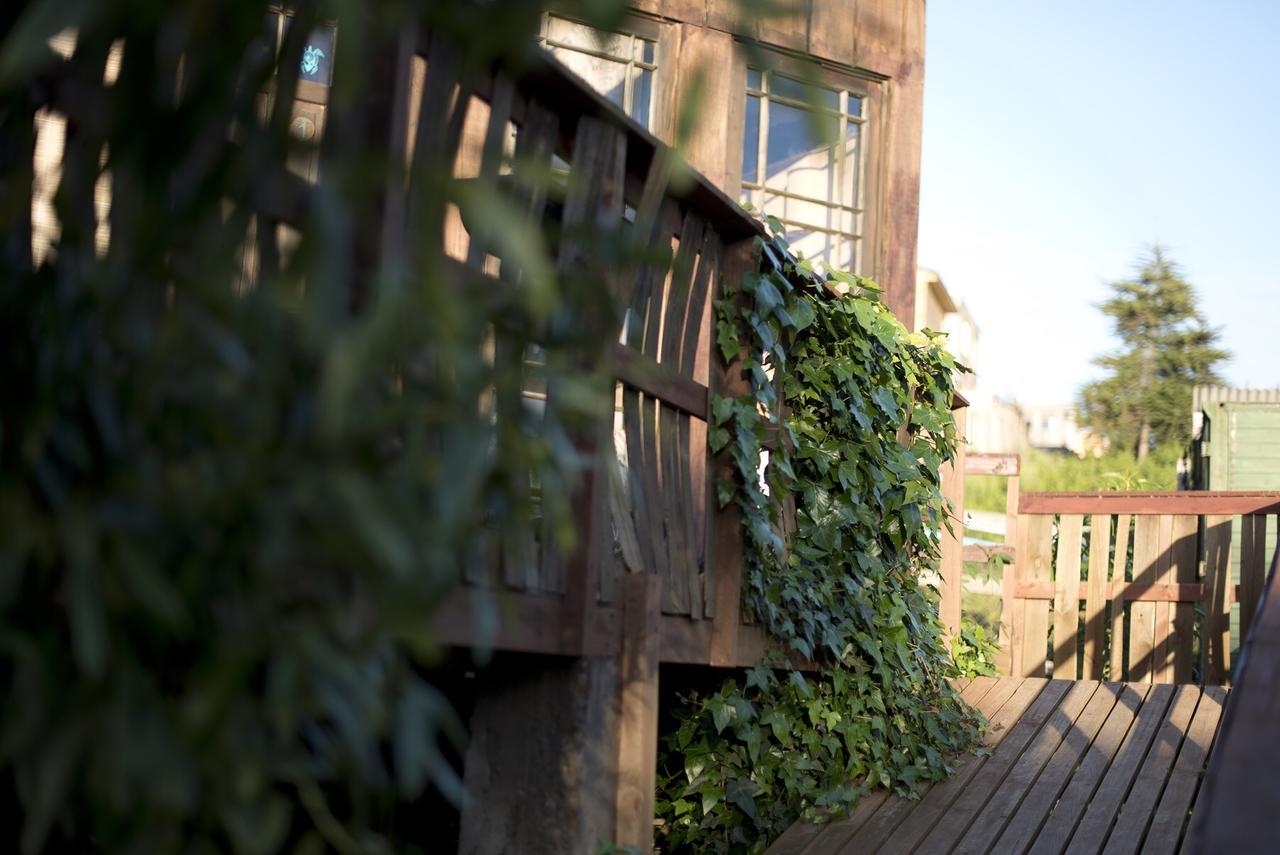 Punta Ballena Lodge Pichilemu Bagian luar foto